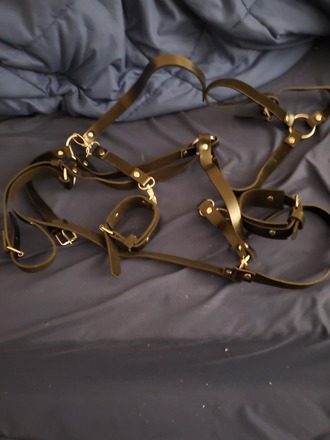  Leather harness