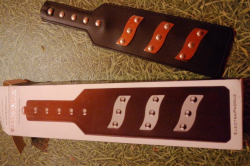  Electrapaddle