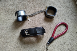  Collar, Shackles, and Short Lead