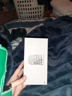  Cellmate Chastity
